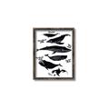 Picture of Ocean Life Black and White _GroupedProduct_Rectangle_Portrait_Canvas_Framed_
