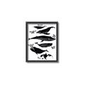 Picture of Ocean Life Black and White _GroupedProduct_Rectangle_Portrait_Canvas_Framed_