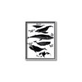 Picture of Ocean Life Black and White _GroupedProduct_Rectangle_Portrait_Canvas_Framed_