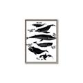Picture of Ocean Life Black and White _GroupedProduct_Rectangle_Portrait_Canvas_Framed_