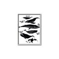 Picture of Ocean Life Black and White _GroupedProduct_Rectangle_Portrait_Canvas_Framed_