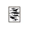 Picture of Ocean Life Black and White _GroupedProduct_Rectangle_Portrait_Canvas_Framed_