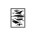Picture of Ocean Life Black and White _GroupedProduct_Rectangle_Portrait_Canvas_Framed_