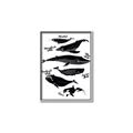 Picture of Ocean Life Black and White _GroupedProduct_Rectangle_Portrait_Canvas_Framed_