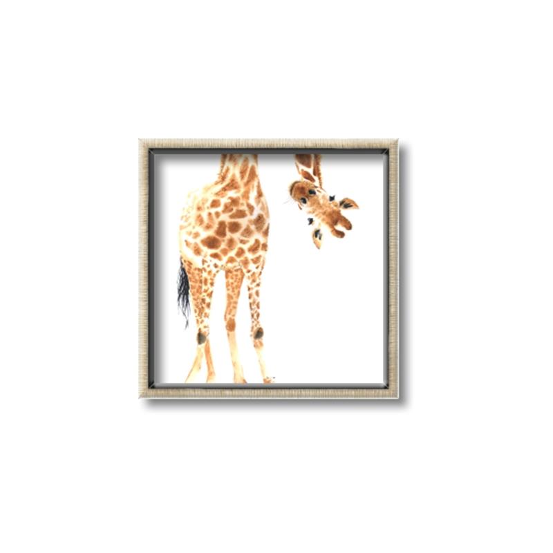 Picture of Bending over Giraffe _GroupedProduct_Square_Canvas_Framed_