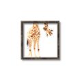 Picture of Bending over Giraffe _GroupedProduct_Square_Canvas_Framed_