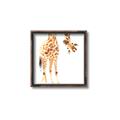 Picture of Bending over Giraffe _GroupedProduct_Square_Canvas_Framed_
