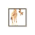 Picture of Bending over Giraffe _GroupedProduct_Square_Canvas_Framed_