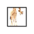 Picture of Bending over Giraffe _GroupedProduct_Square_Canvas_Framed_