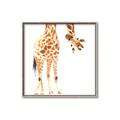 Picture of Bending over Giraffe _GroupedProduct_Square_Canvas_Framed_