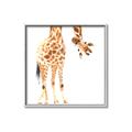Picture of Bending over Giraffe _GroupedProduct_Square_Canvas_Framed_