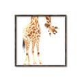 Picture of Bending over Giraffe _GroupedProduct_Square_Canvas_Framed_