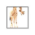 Picture of Bending over Giraffe _GroupedProduct_Square_Canvas_Framed_