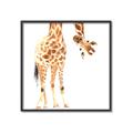 Picture of Bending over Giraffe _GroupedProduct_Square_Canvas_Framed_