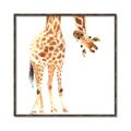 Picture of Bending over Giraffe _GroupedProduct_Square_Canvas_Framed_