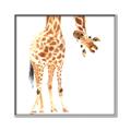 Picture of Bending over Giraffe _GroupedProduct_Square_Canvas_Framed_