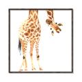 Picture of Bending over Giraffe _GroupedProduct_Square_Canvas_Framed_