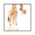 Picture of Bending over Giraffe _GroupedProduct_Square_Canvas_Framed_