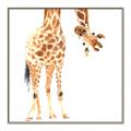 Picture of Bending over Giraffe _GroupedProduct_Square_Canvas_Framed_
