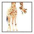 Picture of Bending over Giraffe _GroupedProduct_Square_Canvas_Framed_