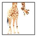 Picture of Bending over Giraffe _GroupedProduct_Square_Canvas_Framed_