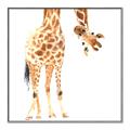 Picture of Bending over Giraffe _GroupedProduct_Square_Canvas_Framed_