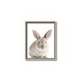 Picture of In Front Bunny _GroupedProduct_Rectangle_Portrait_Canvas_Framed_