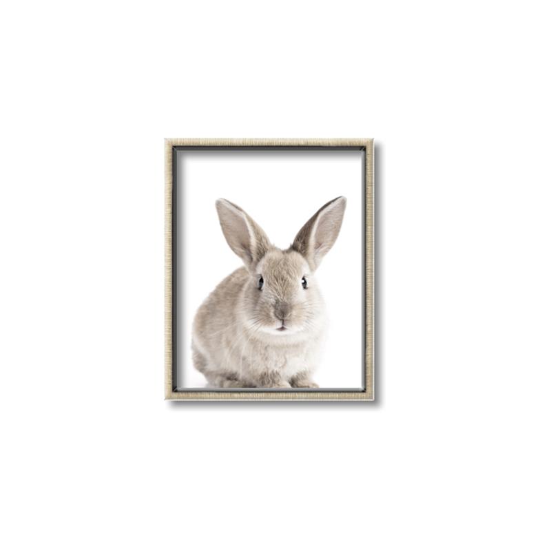 Picture of In Front Bunny _GroupedProduct_Rectangle_Portrait_Canvas_Framed_