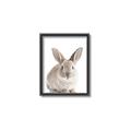 Picture of In Front Bunny _GroupedProduct_Rectangle_Portrait_Canvas_Framed_