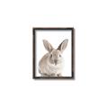 Picture of In Front Bunny _GroupedProduct_Rectangle_Portrait_Canvas_Framed_