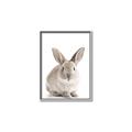 Picture of In Front Bunny _GroupedProduct_Rectangle_Portrait_Canvas_Framed_
