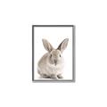 Picture of In Front Bunny _GroupedProduct_Rectangle_Portrait_Canvas_Framed_