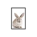 Picture of In Front Bunny _GroupedProduct_Rectangle_Portrait_Canvas_Framed_