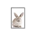 Picture of In Front Bunny _GroupedProduct_Rectangle_Portrait_Canvas_Framed_