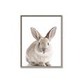 Picture of In Front Bunny _GroupedProduct_Rectangle_Portrait_Canvas_Framed_