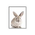 Picture of In Front Bunny _GroupedProduct_Rectangle_Portrait_Canvas_Framed_