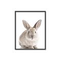 Picture of In Front Bunny _GroupedProduct_Rectangle_Portrait_Canvas_Framed_