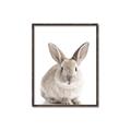 Picture of In Front Bunny _GroupedProduct_Rectangle_Portrait_Canvas_Framed_