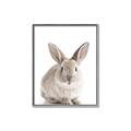 Picture of In Front Bunny _GroupedProduct_Rectangle_Portrait_Canvas_Framed_