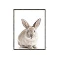 Picture of In Front Bunny _GroupedProduct_Rectangle_Portrait_Canvas_Framed_