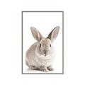 Picture of In Front Bunny _GroupedProduct_Rectangle_Portrait_Canvas_Framed_