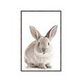 Picture of In Front Bunny _GroupedProduct_Rectangle_Portrait_Canvas_Framed_