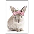 Picture of Floral In Front Bunny _GroupedProduct_Rectangle_Portrait_Canvas_Framed_