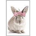 Picture of Floral In Front Bunny _GroupedProduct_Rectangle_Portrait_Canvas_Framed_