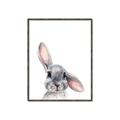 Picture of Floppy Bunny _GroupedProduct_Rectangle_Portrait_Canvas_Framed_