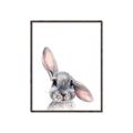 Picture of Floppy Bunny _GroupedProduct_Rectangle_Portrait_Canvas_Framed_