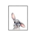 Picture of Floppy Bunny _GroupedProduct_Rectangle_Portrait_Canvas_Framed_