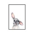 Picture of Floppy Bunny _GroupedProduct_Rectangle_Portrait_Canvas_Framed_