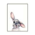 Picture of Floppy Bunny _GroupedProduct_Rectangle_Portrait_Canvas_Framed_