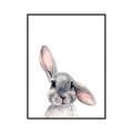 Picture of Floppy Bunny _GroupedProduct_Rectangle_Portrait_Canvas_Framed_